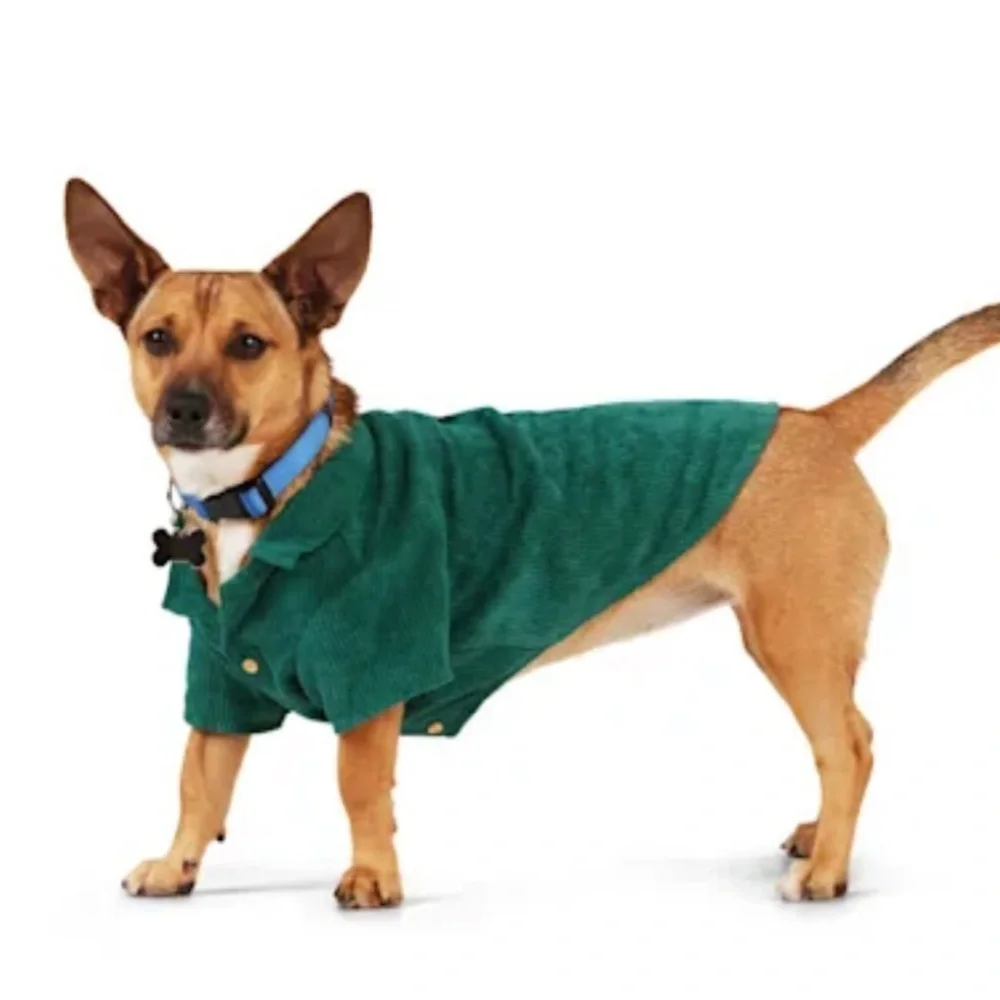 NWT Youly “hipster” corduroy button dog shirt M